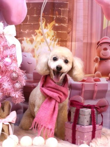 20241218ジョナくん